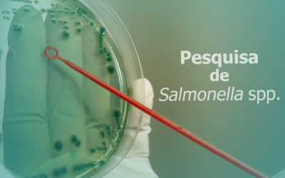 Evitando o recall: Importância da análise de Salmonella e do controle de qualidade na indústria