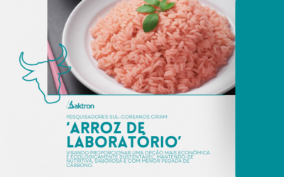 Cientistas criam arroz de laboratório com células bovinas