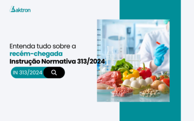 IN nº313/2024: entenda tudo sobre a recém-chegada norma