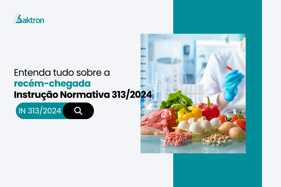 IN nº313/2024: entenda tudo sobre a recém-chegada norma