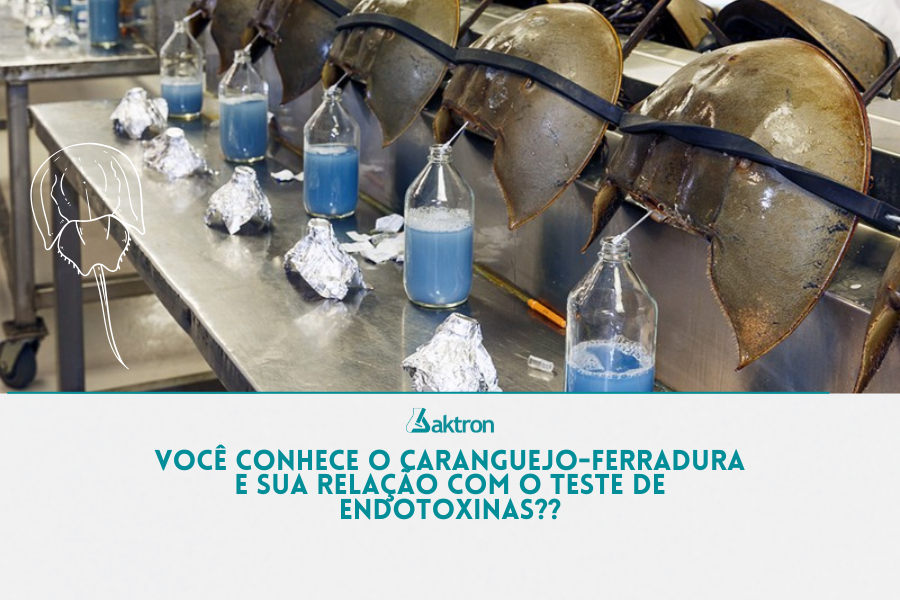 Caranguejo-ferradura e sua relação com o teste de endotoxinas